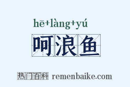 呵浪鱼是什么意思的图片
